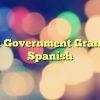 Usa Government Grant In Spanish