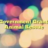 Usa Government Grants For Animal Rescue