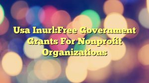 Usa Inurl:Free Government Grants For Nonprofit Organizations